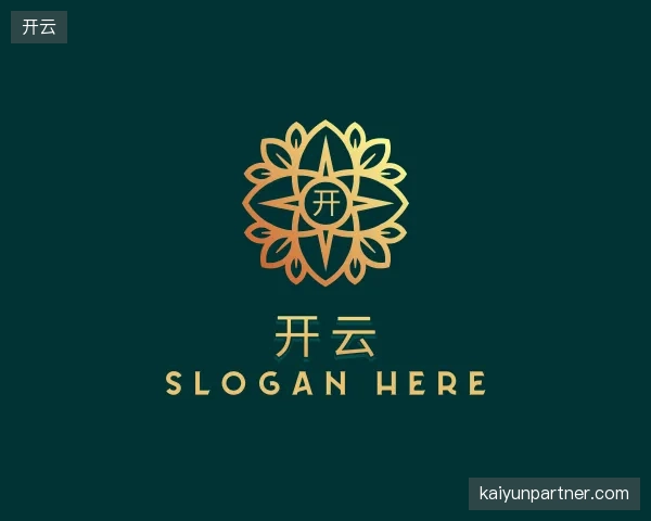 介绍开云团队